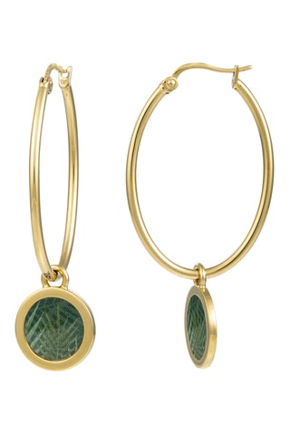 Creolen Goudkleurig en Groen