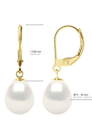 Pendientes - Oro amarillo y perlas cultivadas