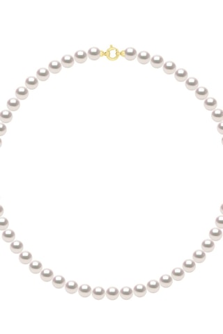 Collar - Oro amarillo y perlas Akoya japonesas