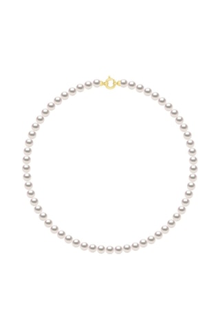 Collar - Oro amarillo y perlas Akoya japonesas