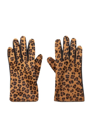 Luvas em couro - Castanho - One Step