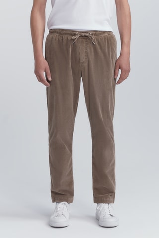 Calças em veludo - Castanho