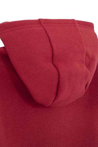 Sweat com capuz - Bordô - IKKS Júnior