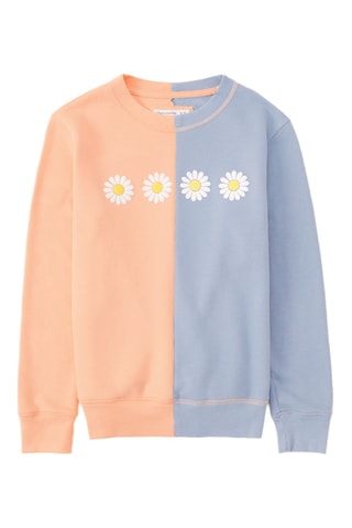 Sweat - Saumon et ciel