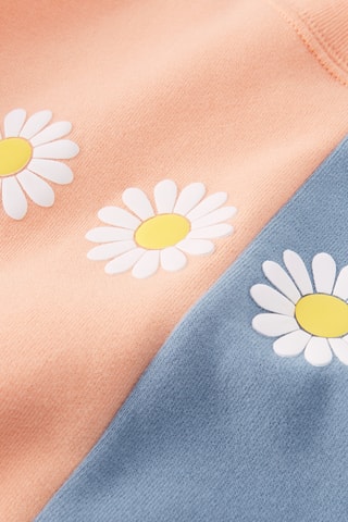 Sweat - Saumon et ciel