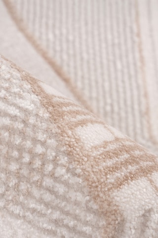 Tapis Jardin  - Beige et argenté