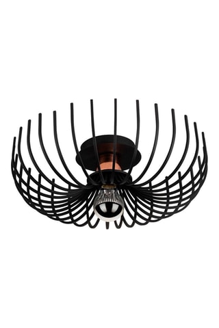 Plafondlamp Aspendos Zwart