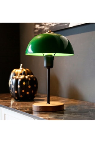 Tafellamp AYD-2796 - Groen en Zwart - 60 W