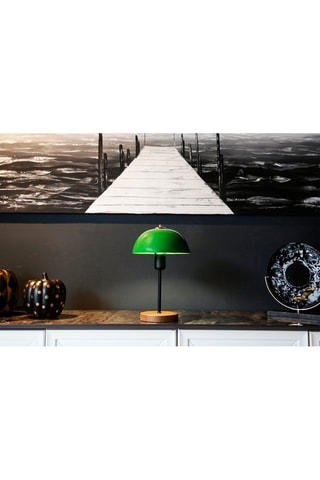 Tafellamp AYD-2796 - Groen en Zwart - 60 W