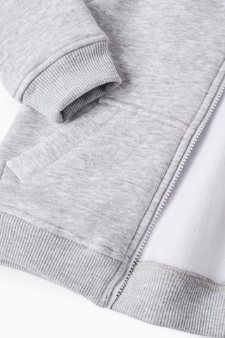 Sweat à capuche - Gris chiné