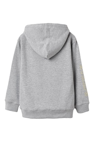 Sweat à capuche Batman La Ligue des Justiciers DC Comics - Gris