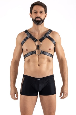 Arnês - Preto