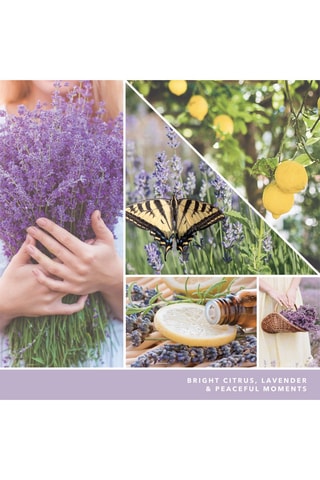 Geurkaars Signature - Citroen en Lavendel 5 lonten