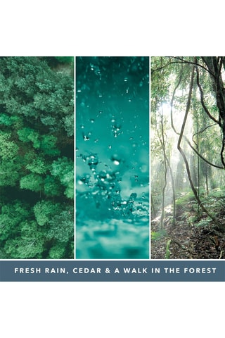 Geurkaars Signature - Marien Ceder 5 lonten