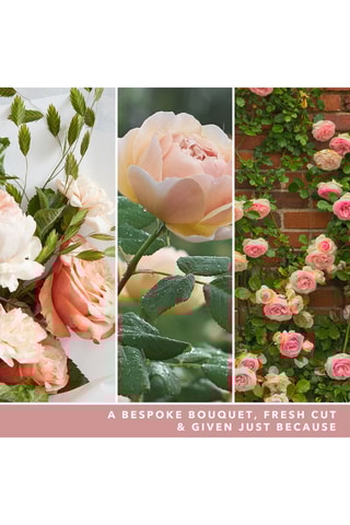 Geurkaars Gemiddeld Model Signature - Roses fraîchement coupées