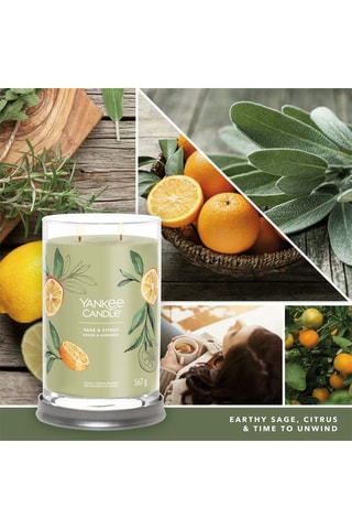 Geurkaars Groot Model Signature - Salie en Citrusvruchten