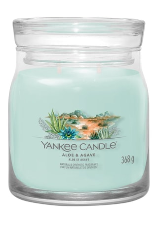 Geurkaars Gemiddeld Model - Aloë en Agave