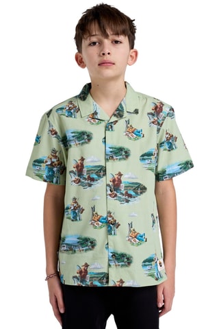 Chemise - Beige et vert clair - Element