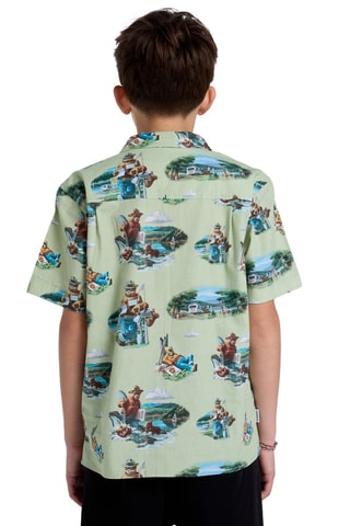 Chemise - Beige et vert clair - Element