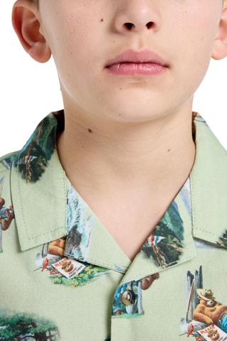 Chemise - Beige et vert clair - Element