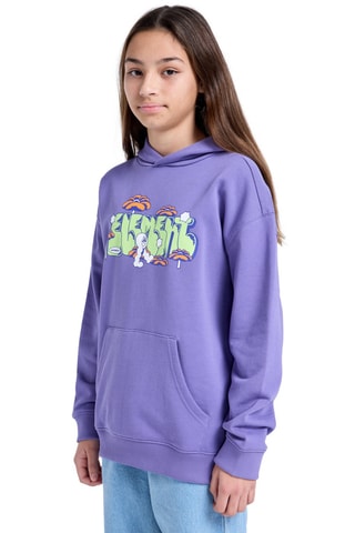 Sweat à capuche - Violet - Element