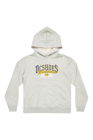 Sweat à capuche - Gris clair chiné - DC shoes