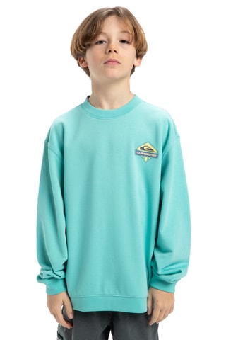 Sweat en coton biologique - Bleu clair - Quiksilver