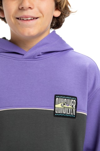 Sweat en coton biologique - Noir - Quiksilver