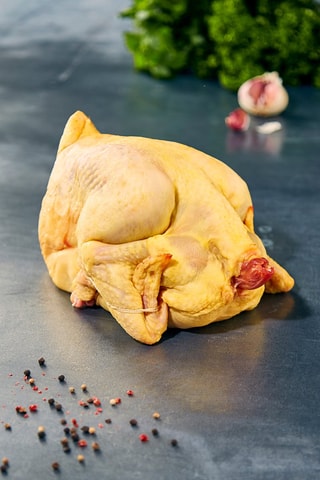 Poularde des Landes 2,1 kg (+/- 10%)