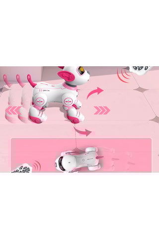 Hond TechKidz - Afstandsbediening - Roxy