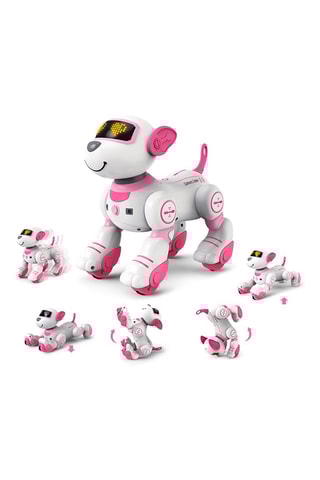 Hond TechKidz - Afstandsbediening - Roxy