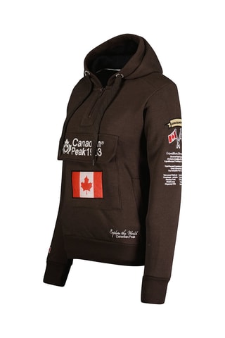 Sweater met Capuchon Gyrelle Bruin