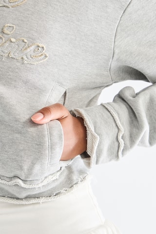 Sudadera con capucha - Gris jaspeado