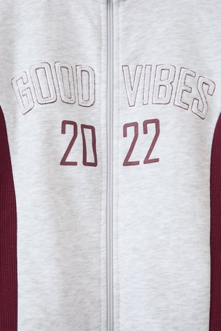 Sudadera - Gris claro jaspeado