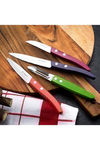 4 couteaux en acier inoxydable 13/0 et bois Forest