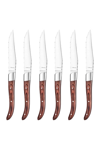 Bloc de 6 pièces en acier inoxydable et bois de pakka