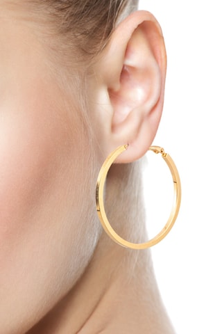 Criollas - Chapada en oro amarillo y plata