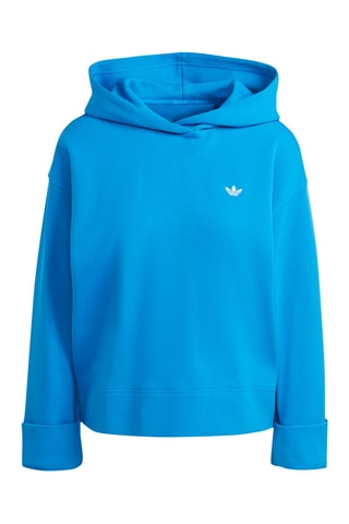 Sweater met Capuchon Premium Essentials - Lichtblauw