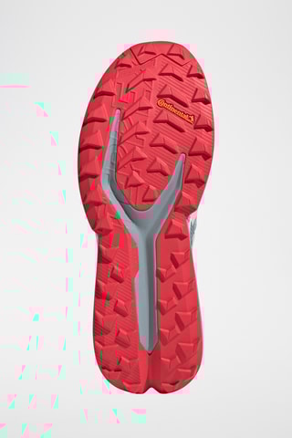 Zapatillas de running Terrex Soulstride - Gris