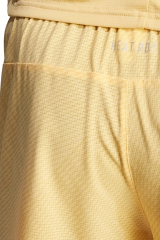 Trainingsshort HIIT Workout - Mosterdgeel