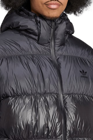 Gewatteerde Jas met Capuchon Fit Adicolor Regen - Zwart