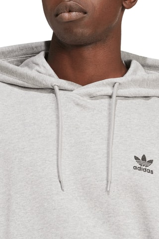 Sweater met Capuchon Trefle Essentials - Lichtgrijs