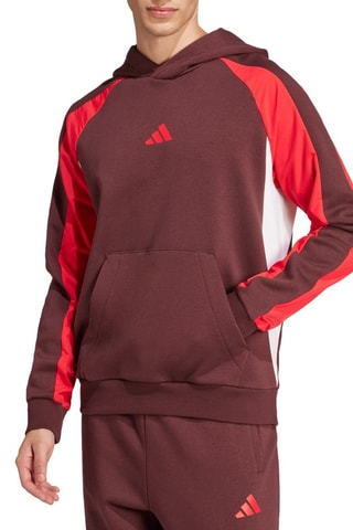 Sweater met Capuchon - Bordeauxrood