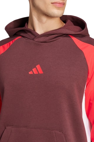 Sweater met Capuchon - Bordeauxrood