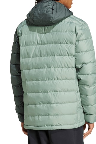 Anorak de senderismo con capucha Terrex - Verde agua y verde oscuro