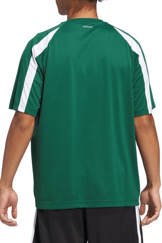 Voetbalshirt Skateboarding Teamgeist - Donkergroen en Wit