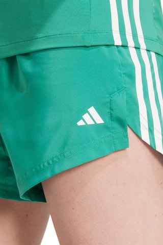 Short Regular - Groen