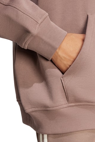 Sweater met Capuchon Essentials - Bruin