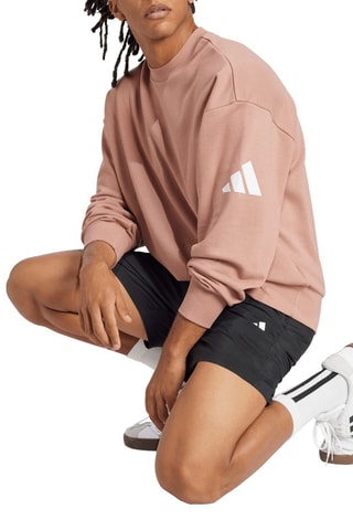 Sweater Essentials - Roze