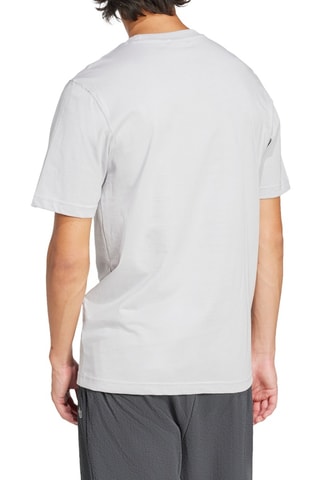 Camiseta regular fit Adicolor Trefoil - Gris